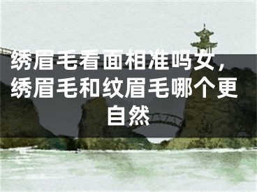 绣眉毛看面相准吗女，绣眉毛和纹眉毛哪个更自然