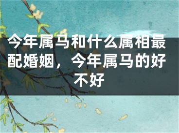 今年属马和什么属相最配婚姻,今年属马的好不好