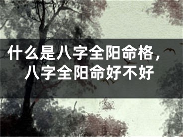 什么是八字全阳命格，八字全阳命好不好