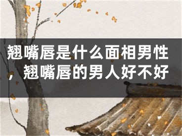 翘嘴唇是什么面相男性,翘嘴唇的男人好不好
