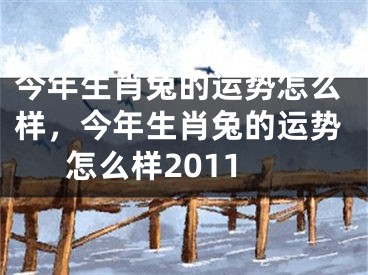 今年生肖兔的运势怎么样，今年生肖兔的运势怎么样2011