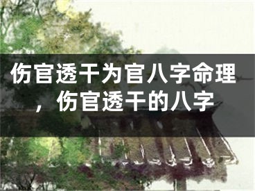 伤官透干为官八字命理，伤官透干的八字