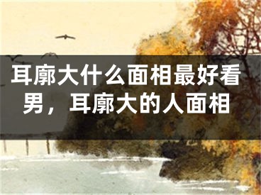 耳廓大什么面相最好看男，耳廓大的人面相
