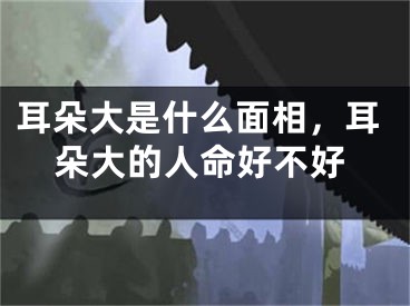 耳朵大是什么面相,耳朵大的人命好不好