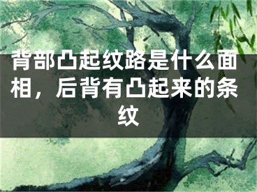 背部凸起纹路是什么面相，后背有凸起来的条纹