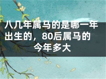八几年属马的是哪一年出生的，80后属马的今年多大