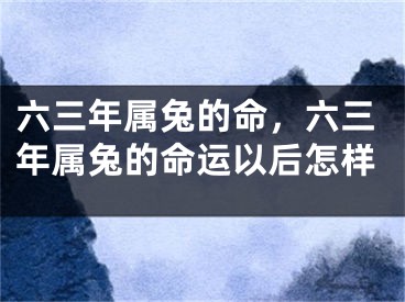 六三年属兔的命，六三年属兔的命运以后怎样