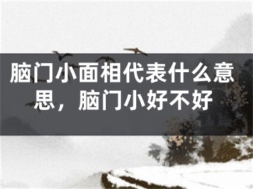 脑门小面相代表什么意思，脑门小好不好