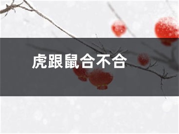虎跟鼠合不合 