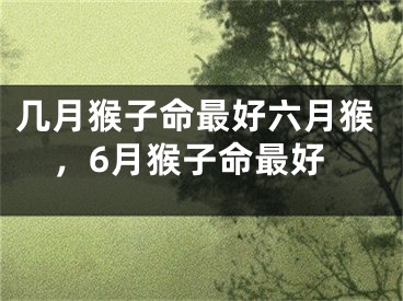 几月猴子命最好六月猴，6月猴子命最好