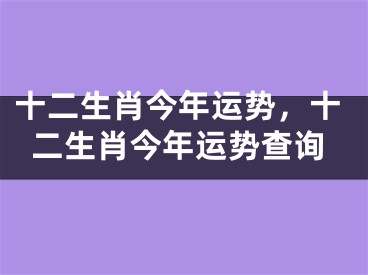 十二生肖今年运势，十二生肖今年运势查询