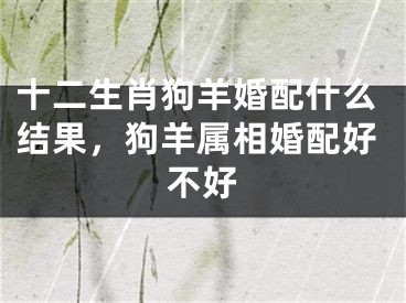 十二生肖狗羊婚配什么结果，狗羊属相婚配好不好