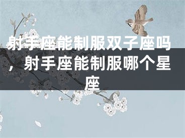 射手座能制服双子座吗，射手座能制服哪个星座