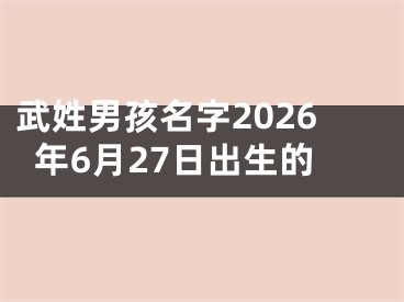 武姓男孩名字2026年6月27日出生的