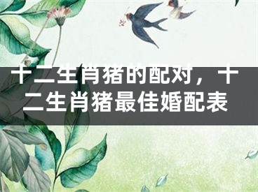 十二生肖猪的配对，十二生肖猪最佳婚配表