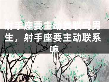 射手座要主动复联吗男生，射手座要主动联系嘛